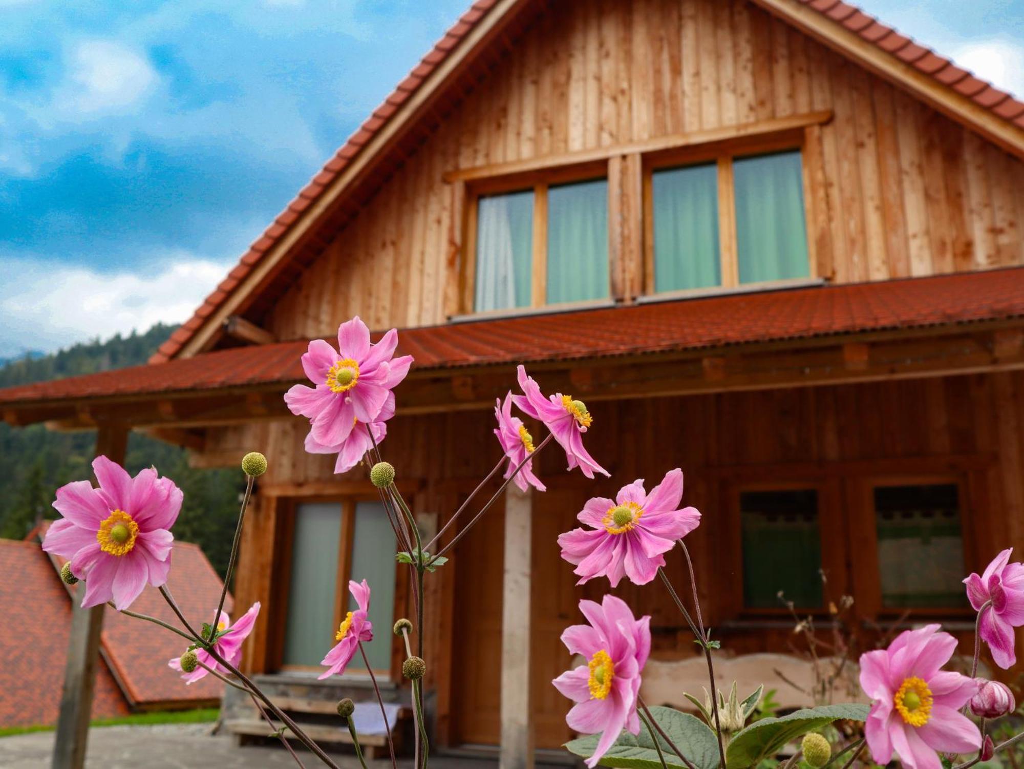 Dolomiti Village Comeglians Exterior photo